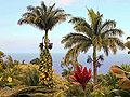 Hawaii-szigetek Maui Wailuku 'Iao Valley State Park 'Iao Needle Oneola öböl Moloka'I sziget Dragon's Teeth Banyan Tree Park Lahaina Kahakuloa szikla Ho'okipa Beach Garden of Eden Haleakala Makena Landing
