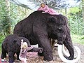 Gyimesi L�szl�: Belek�stoltunk Salzkammergutba - Ausztria - 2009