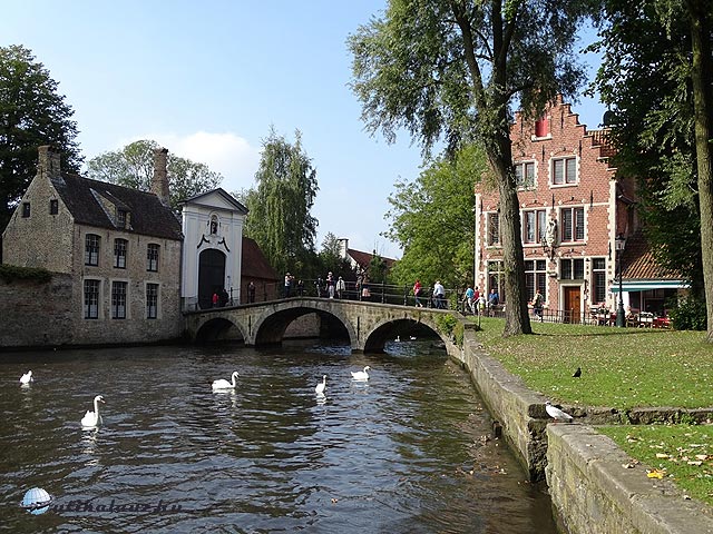 Bruges - Hattyúk "tava"