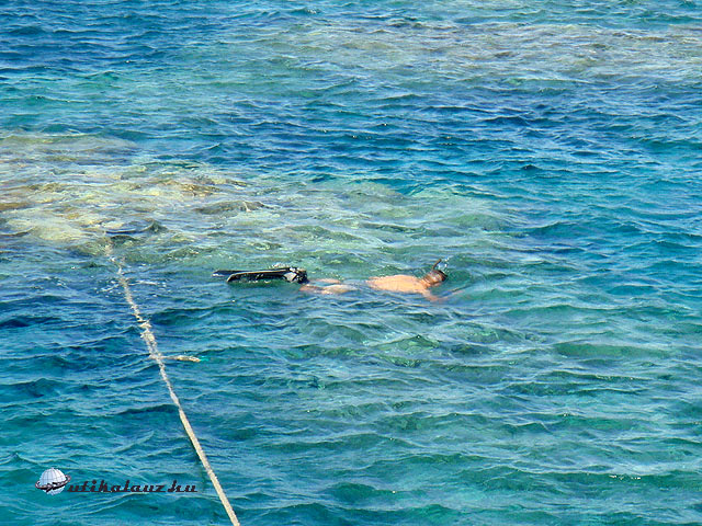 Snorkerezés snorkelezés Brothers-szigetek, Elphistone, Abu Dabbab, Marsa Al Sohuna búvártúra merülés Vörös-tenger, Egyiptom