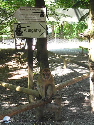 Affenberg Salem majompark