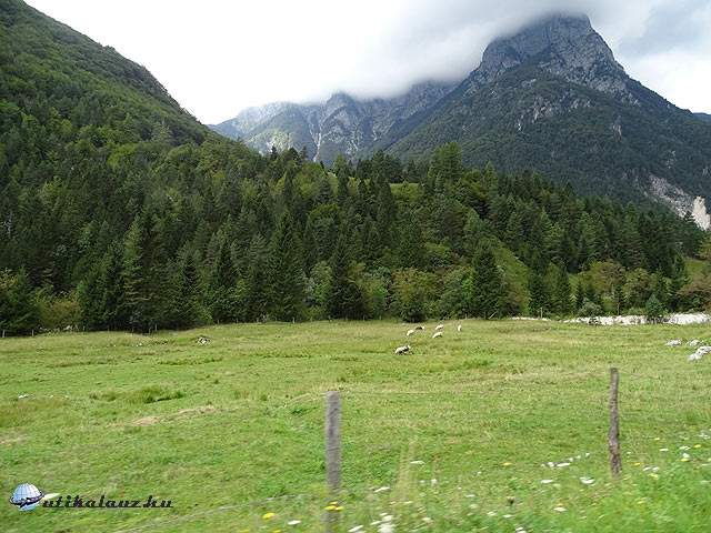 Alpesi legelő a Predel-hágó közelében