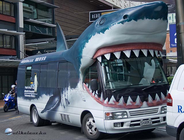 Auckland, Turista csalogató busz