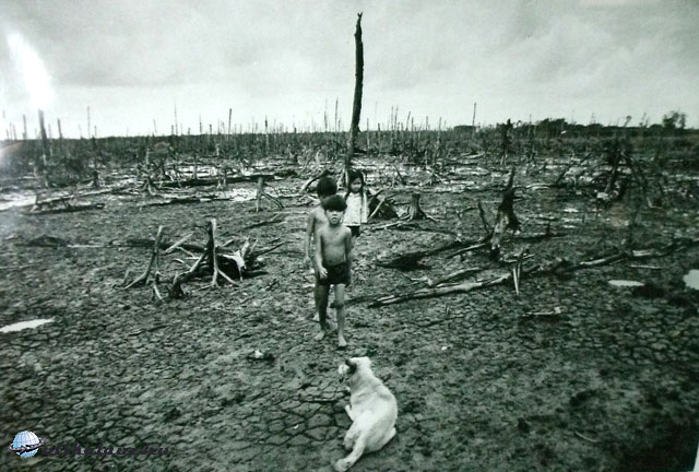 Agent Orange nevű gyomirtószer vietnámi hatása